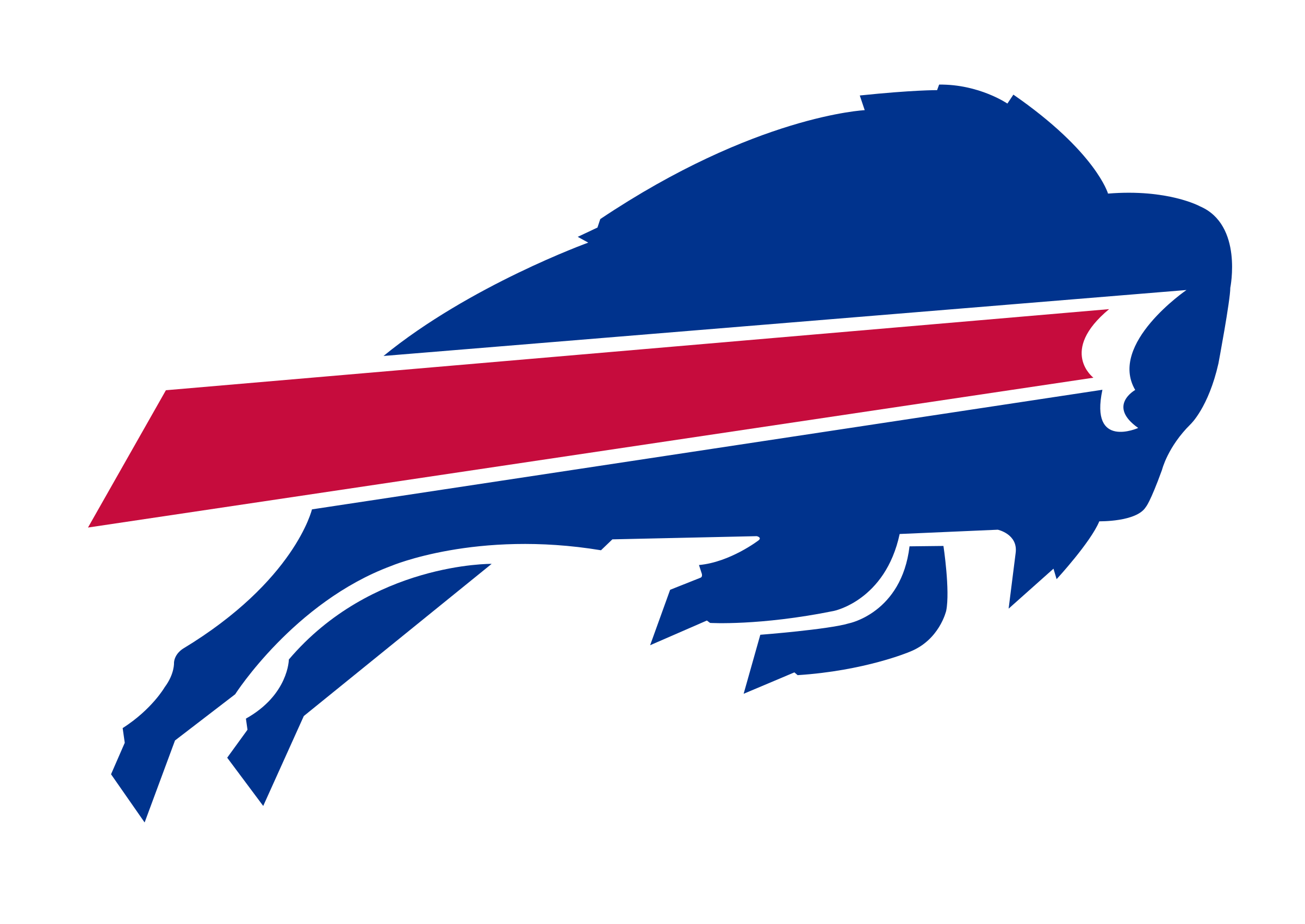 Buffalo Bills